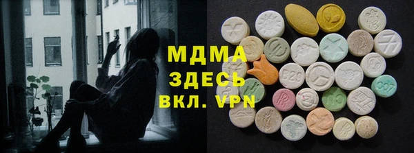 индика Дмитров