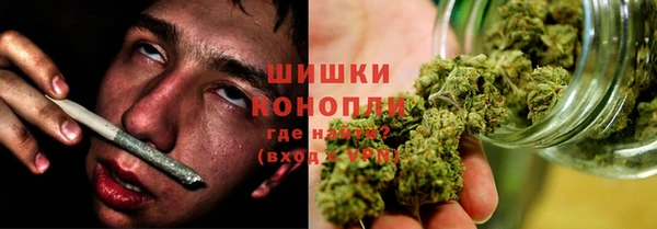 индика Дмитров