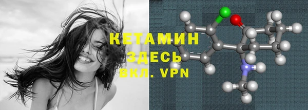 индика Дмитров