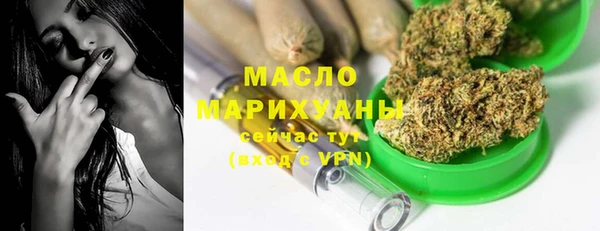 индика Дмитров