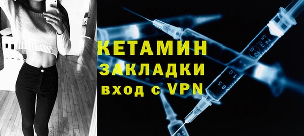 индика Дмитров