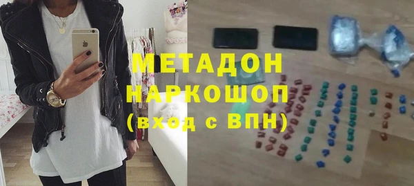 индика Дмитров