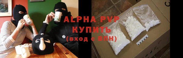 индика Дмитров