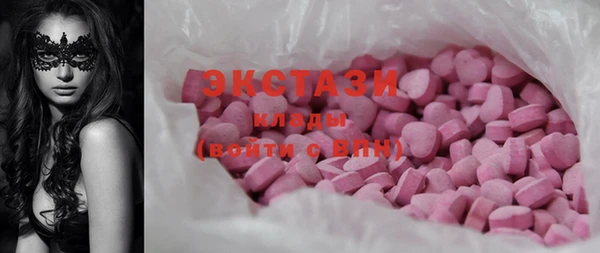 индика Дмитров