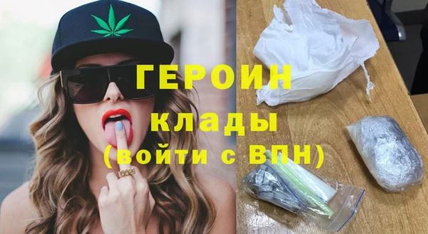 индика Дмитров