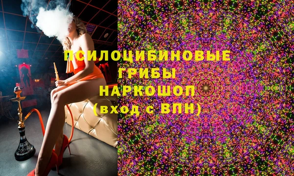 индика Дмитров