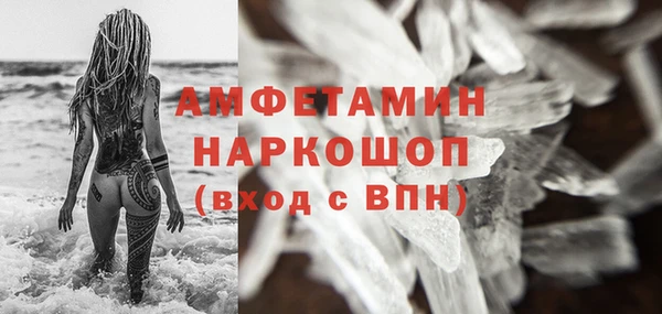 индика Дмитров