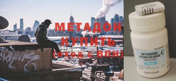 индика Дмитров